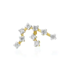 Aquarius Constellations Earring.